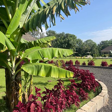 Tanzania Safari Lodge Arusza Zewnętrze zdjęcie